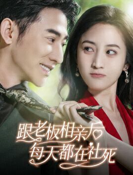 跟老板相亲后每天都在社死 第1-20集