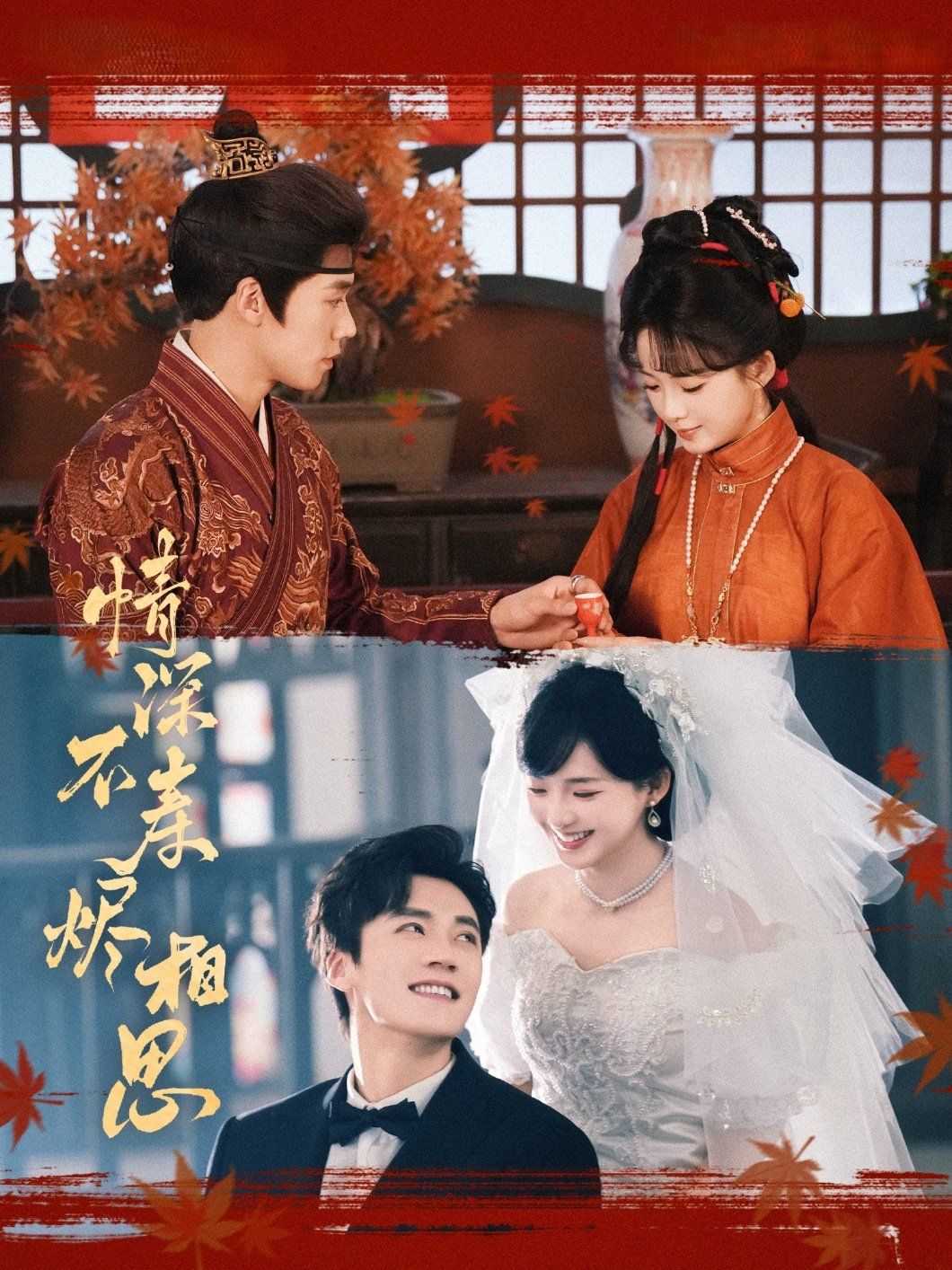 情深不寿烬相思(全集)