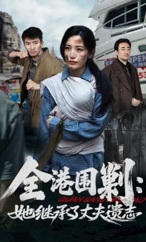全港围剿：她继承了丈夫遗志(全集)