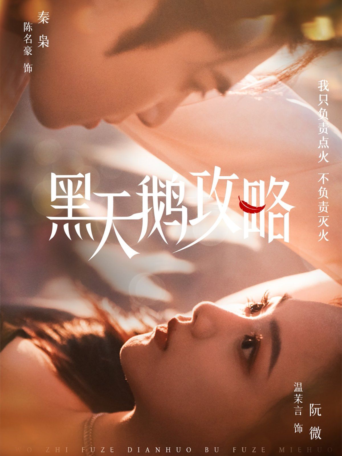 黑天鹅攻略(全集)