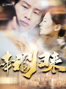 幸福归来 第1-20集