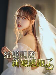 结婚现场新娘逃跑了 第12集