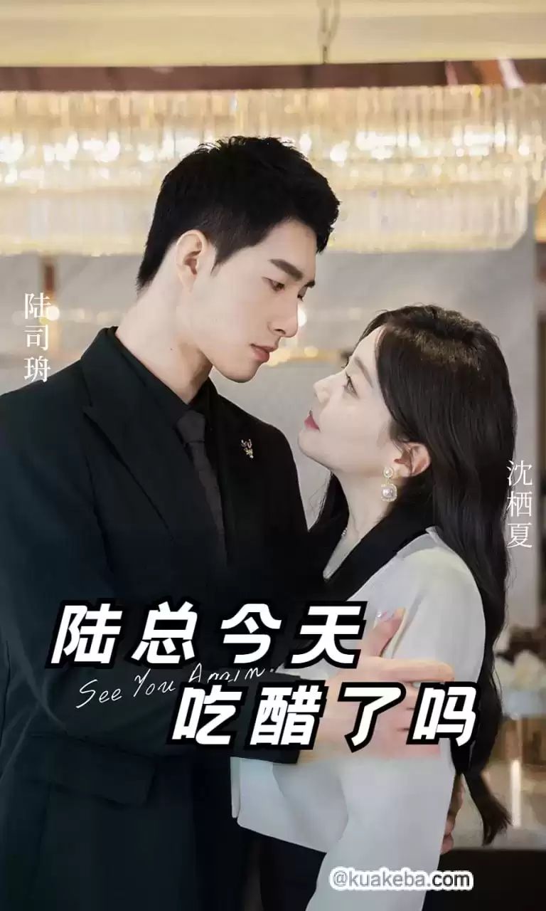 陆总今天吃醋了吗 第1-20集