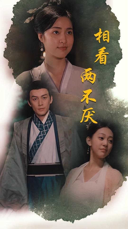 相看两不厌(这个王妃不好惹) 第1-20集