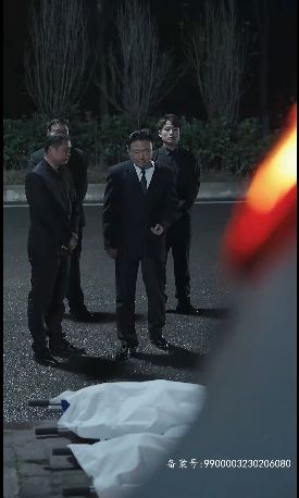 反败为胜 第1-20集