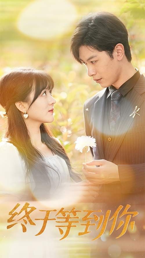 终于等到你（你是我的木槿年华） 第21-40集