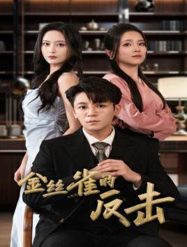 金丝雀的反击 全集完结(大结局)