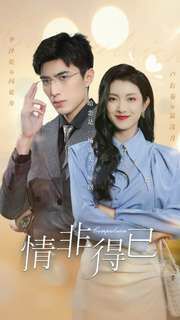 情非得已 第51集