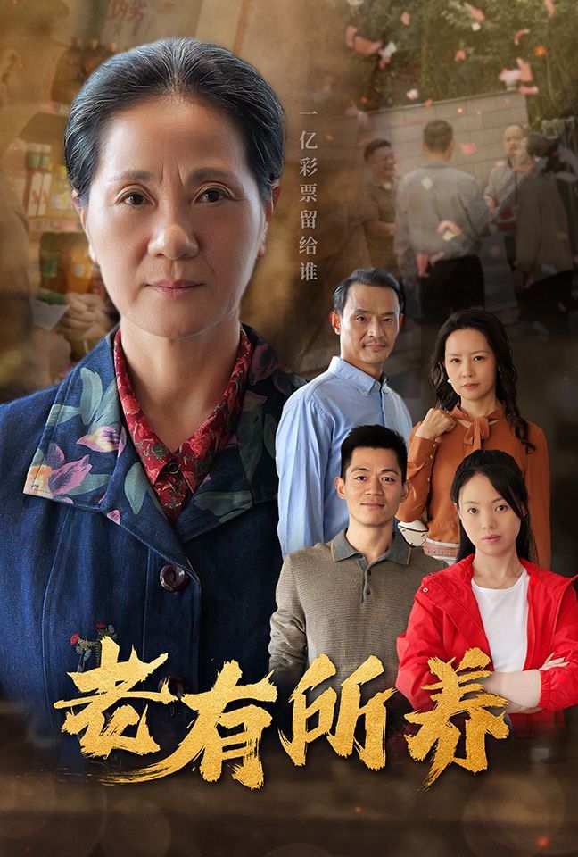 老有所养 第1-20集