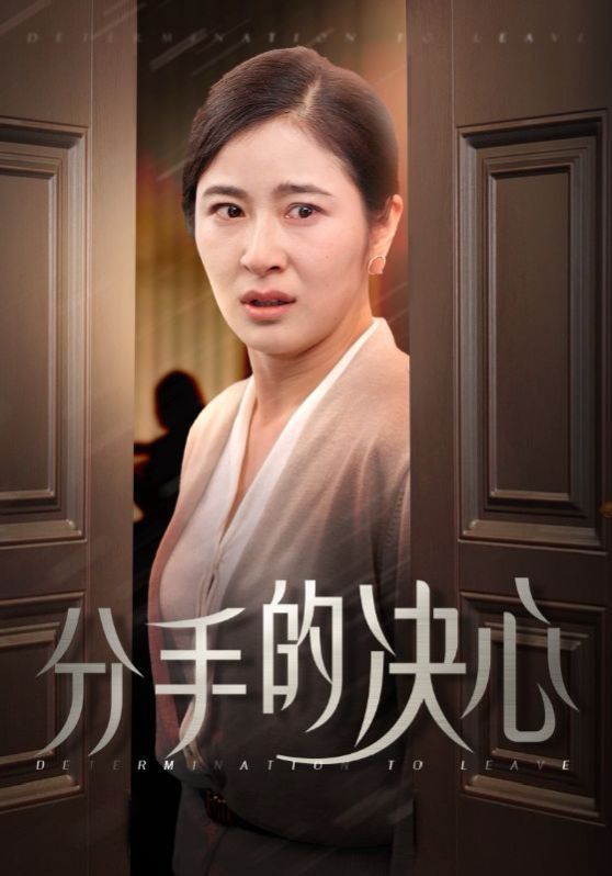分手的决心 第1-20集