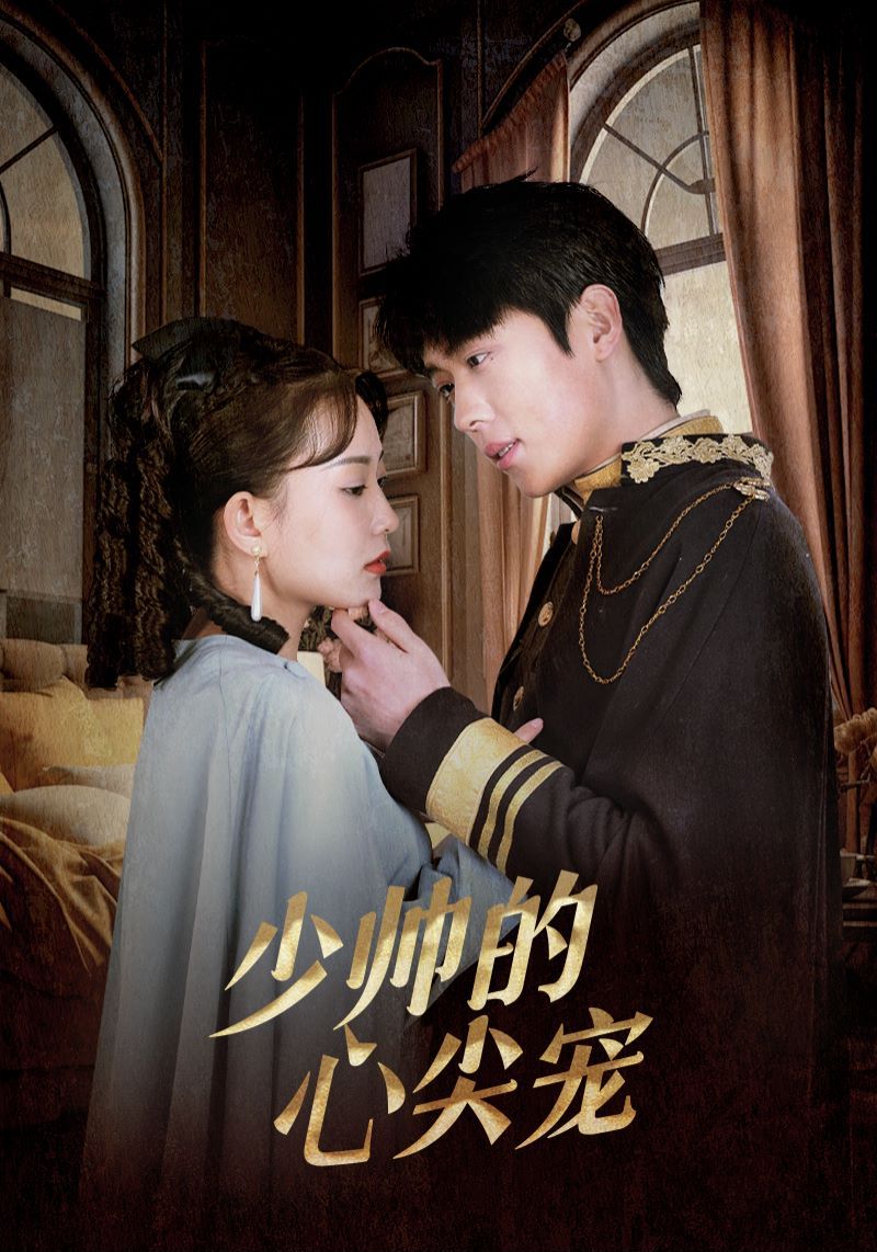 少帅的心尖宠 第1-20集