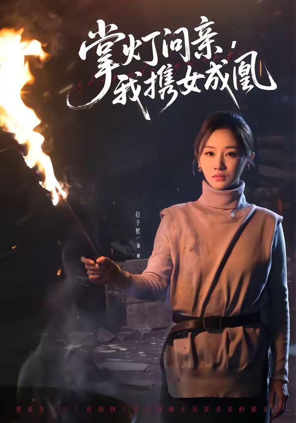 掌灯问亲，我携女成凰(全集)