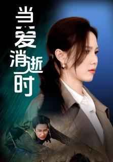 当爱消逝时 第1-30集