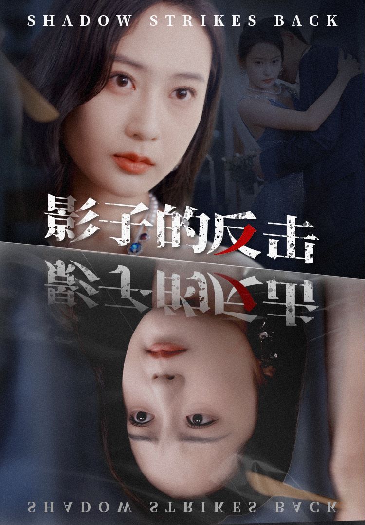 影子的反击 全集(大结局)