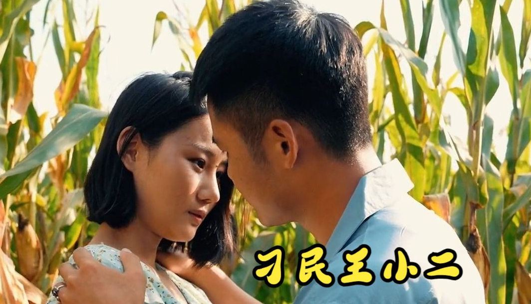 刁民王小二 第01集