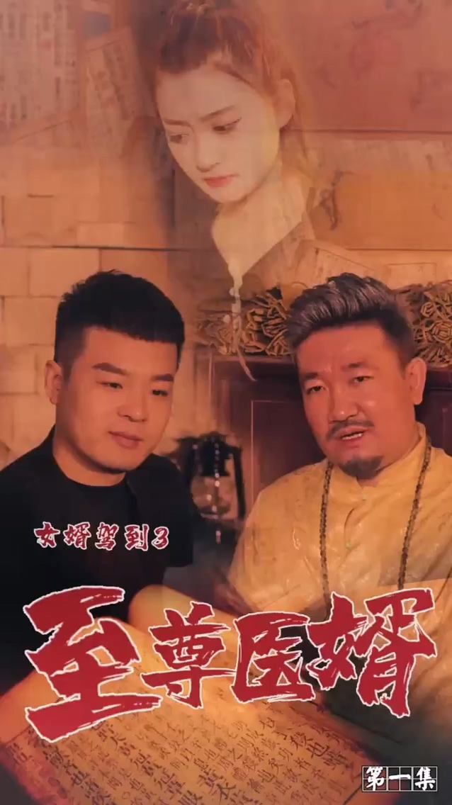 女婿驾到3 第01集