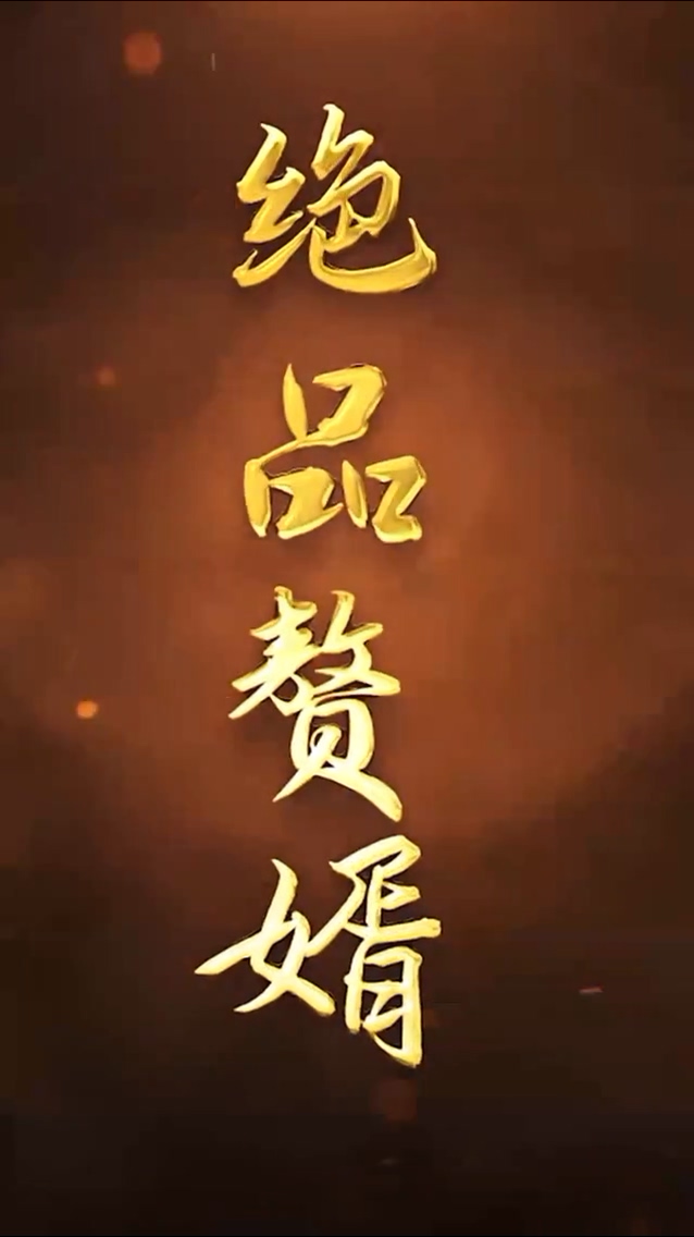 绝品赘婿 第01集